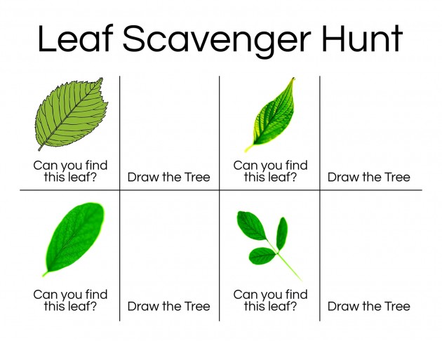 Leaf Activities - Moms Have Questions Too