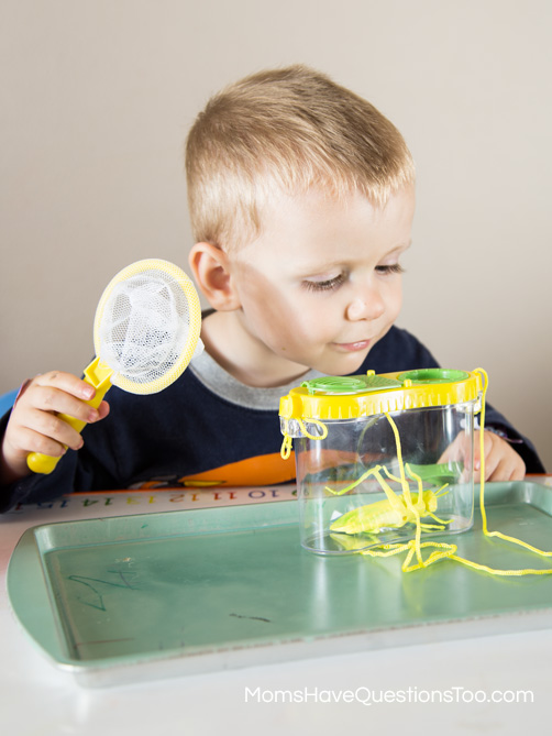 Bug Themed Tot School Trays - Moms Have Questions Too