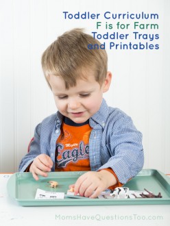 Toddler and Preschool Learning Themes and Curriculum